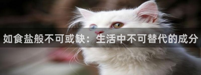 威九国际AN