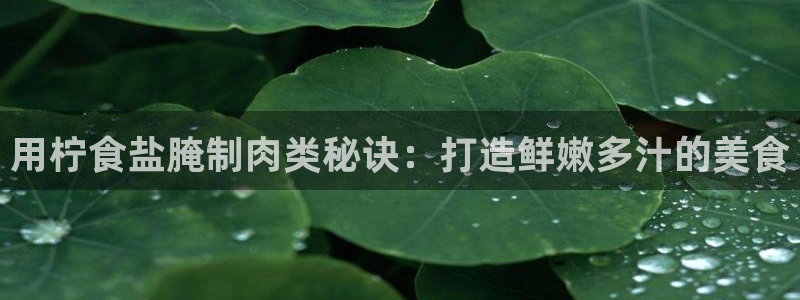威九国际app大全下载安装