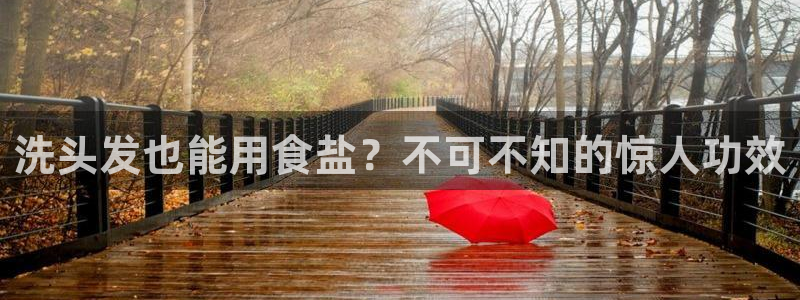 威九国际的演员