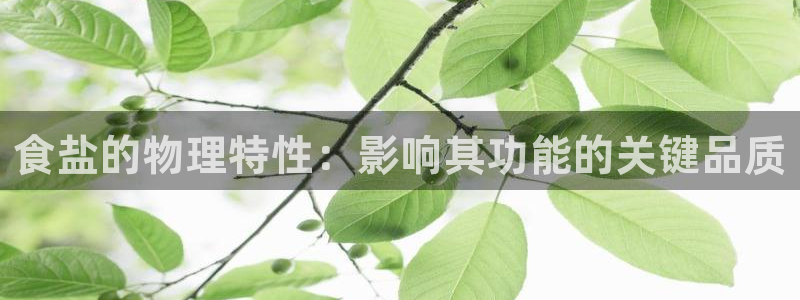 威九国际66m-66