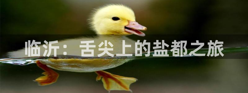 威九国际可以提现吗是真的吗