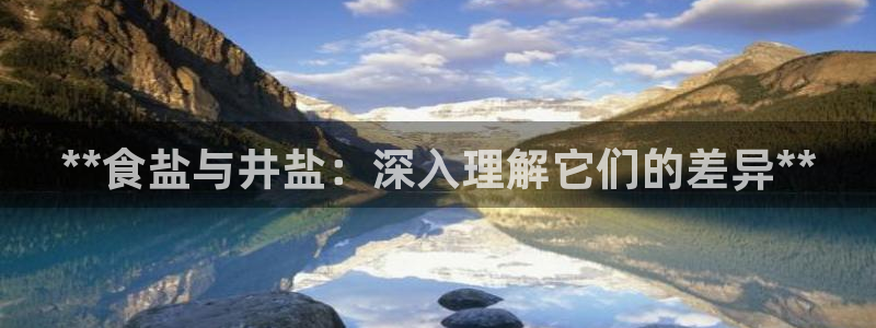 威九国际小说