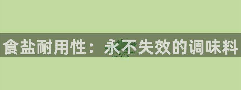 威九国际网站链接