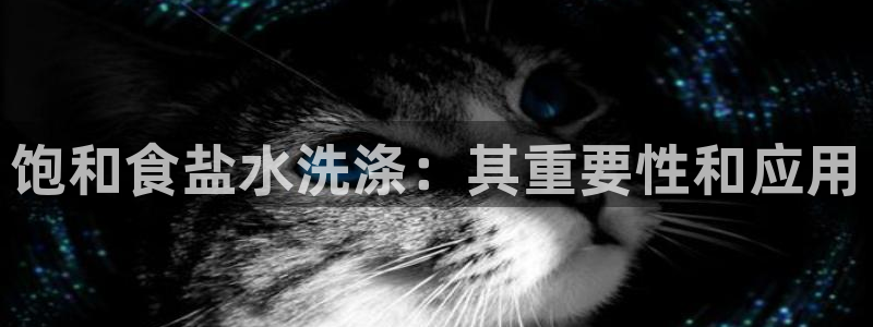 威九国际APP那个地方