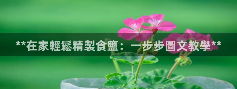 威九国际78mb游戏