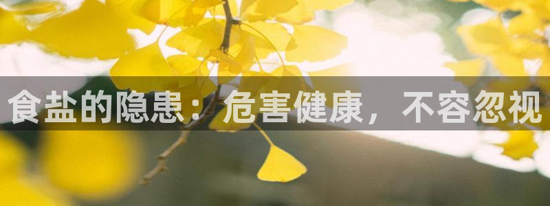 威九国际的演员