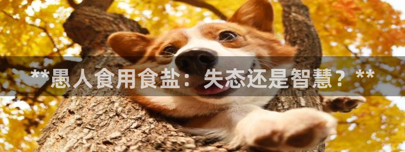 威九国际mb