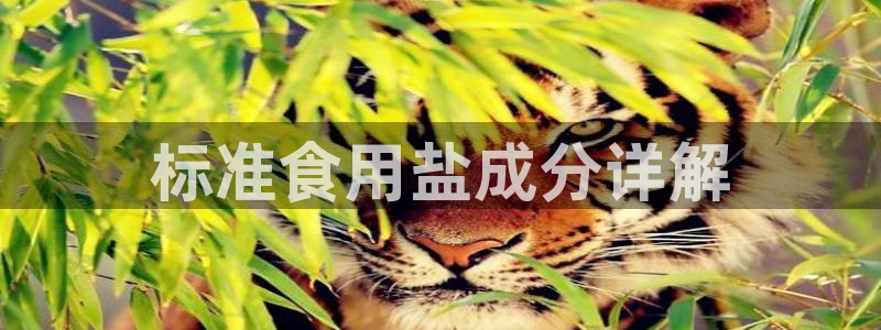 78mapp威九国际官网版