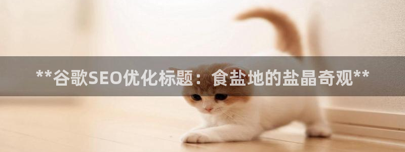 78.m威九国际官网版