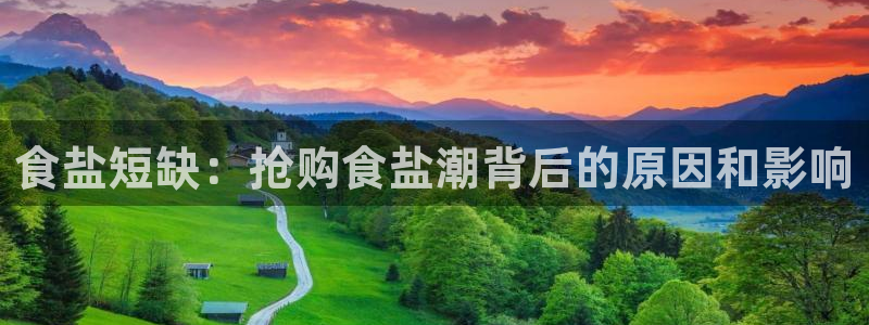 威九国际X8
