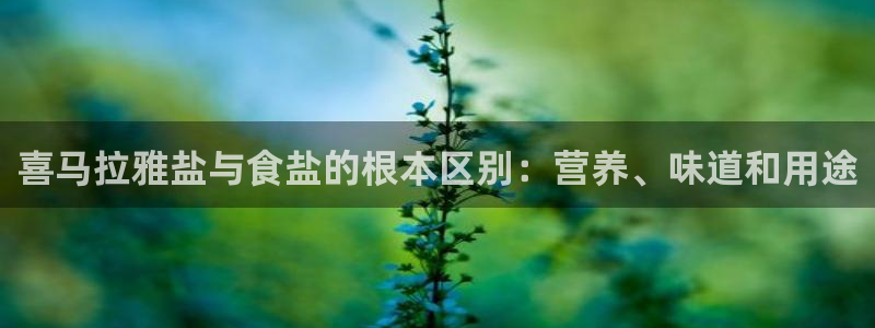 威九国际的金融服务怎么样