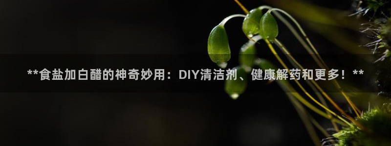 威九国际图片