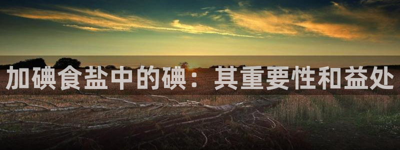 威九国际电子有限公司