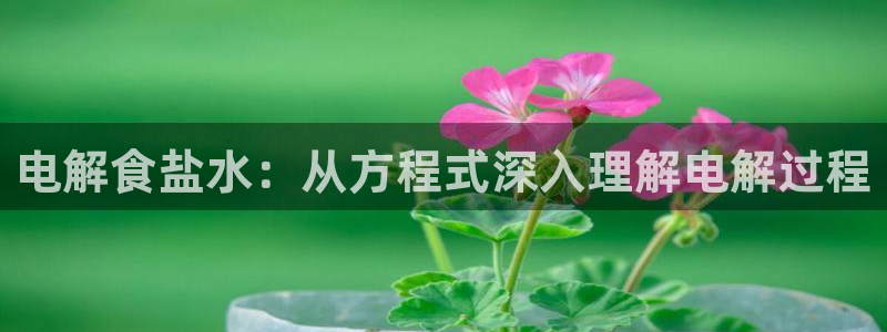 威九国际网站更新