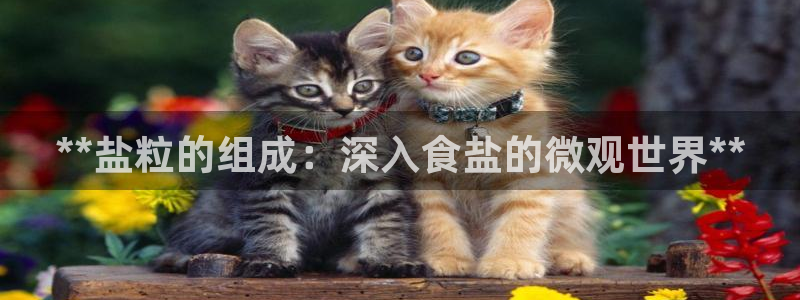 威九国际官网版