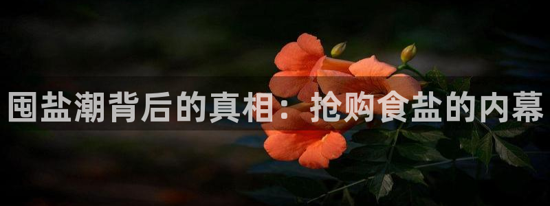 78mapp威九国际官网
