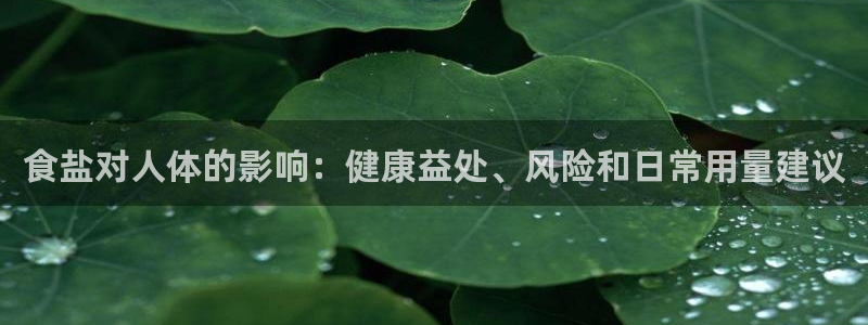 威九国际78m78下载
