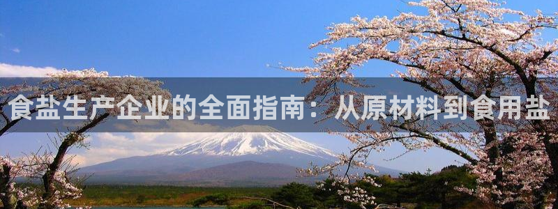 威九国际的金融服务