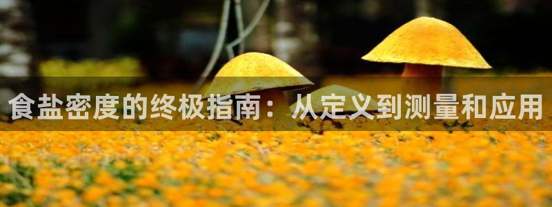 保定威九网络科技有限公司电话
