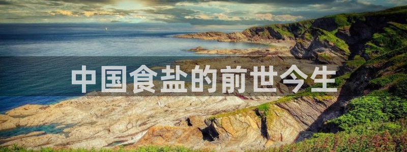 威九国际可以赚到钱