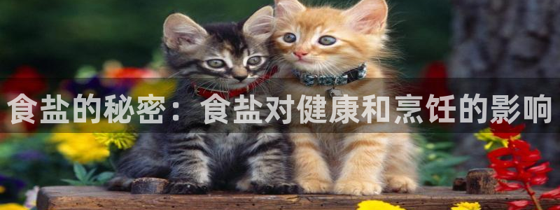 威九国际可以提现吗是真的吗