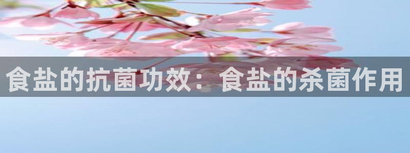 威九国际66m66m电影