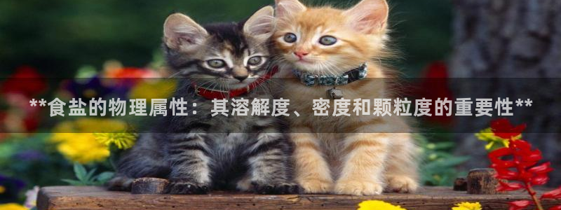 威九国际网站在哪里