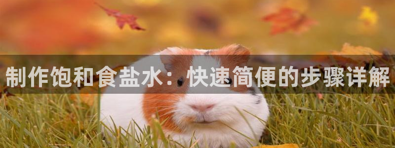 威九国际电子有限公司