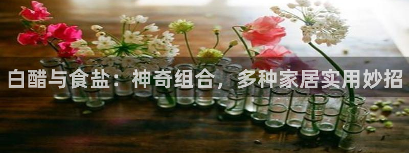 威九国际ft
