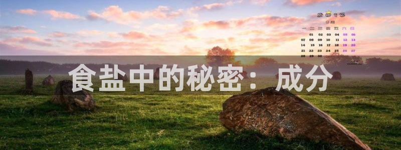 威九国际软件公司简介