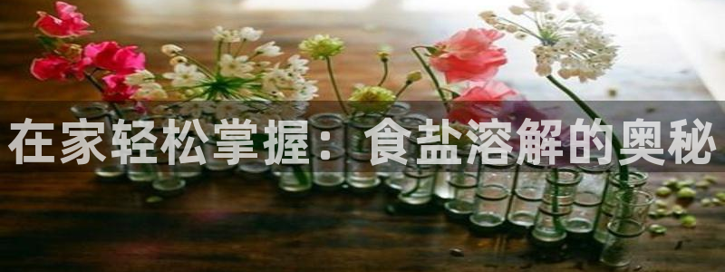 威九国际66m免费下载