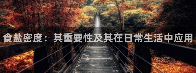 威九国际观看