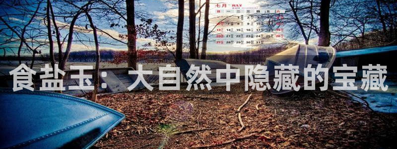 威九国际78M.APP
