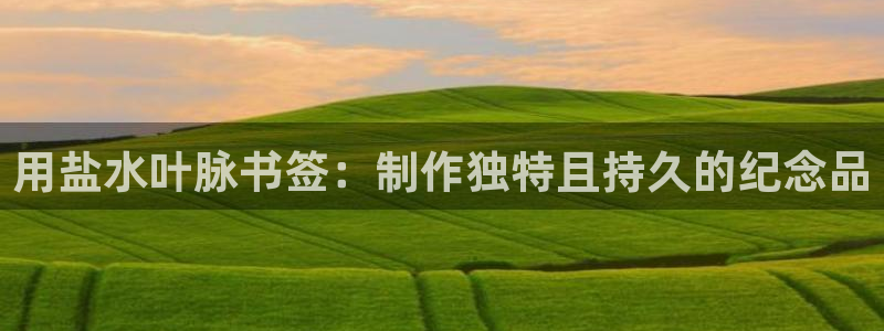 威九国际网站入口官网首页