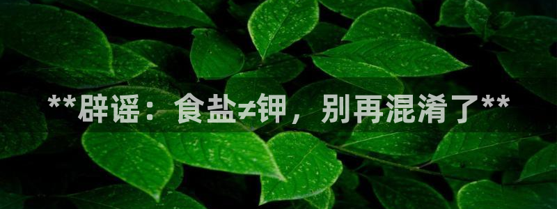 威九国际网站入口官网首页