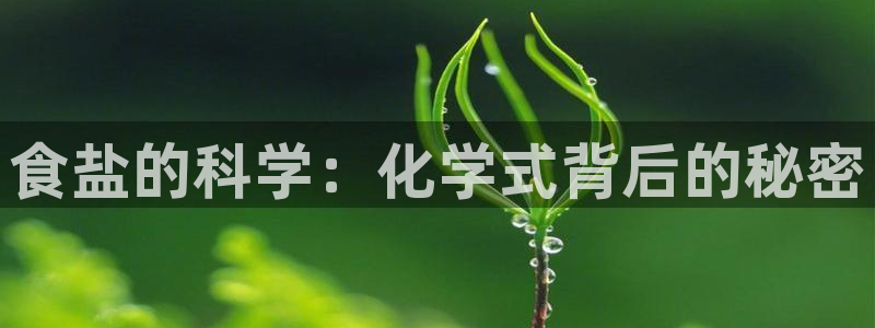 威九国际可以提现吗