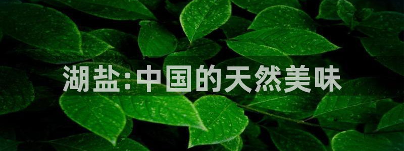 威九国际官方下载