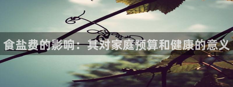 威九国际提款不出来