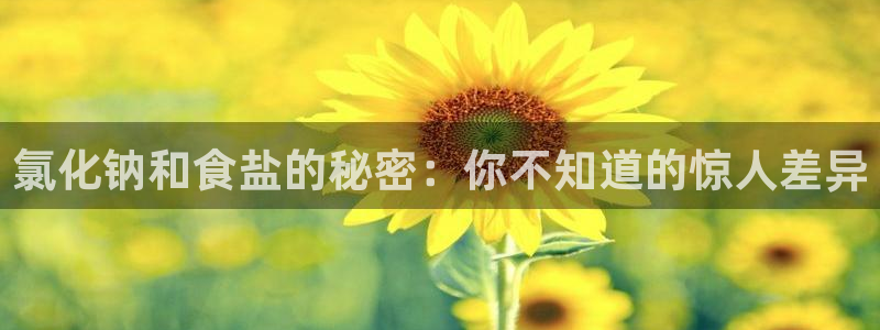 66m威九国际精选