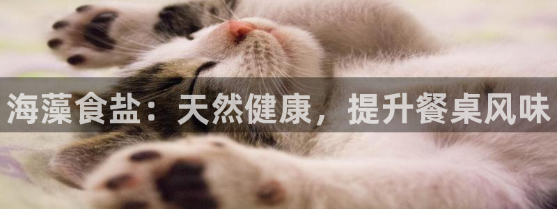 威九国际app客服电话