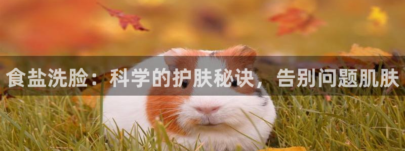 78mapp威九国际最新版