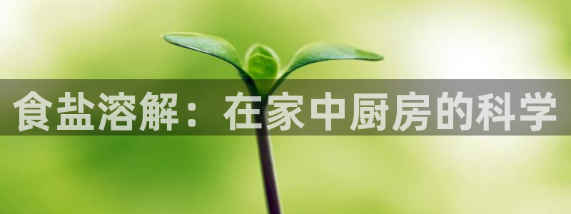 威九国际APP入口