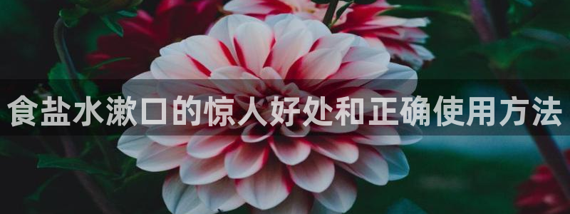 威九国际网站更新了吗