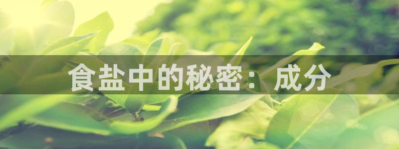 威九国际的女主