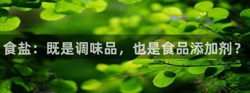 威九国际网站入口官网首页