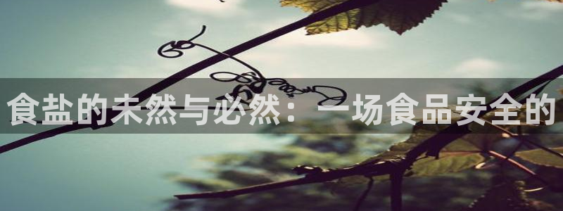 威九国际X8