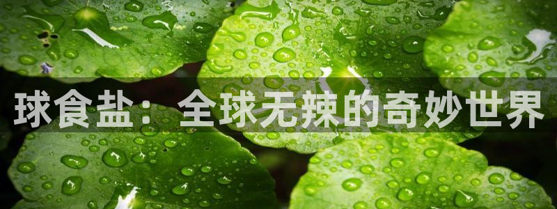 威九国际正规吗