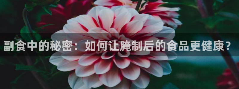 威九国际v8