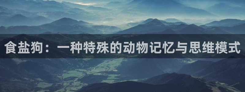 威九国际能提现吗是真的吗