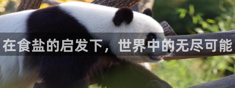 威九国际ppt官网